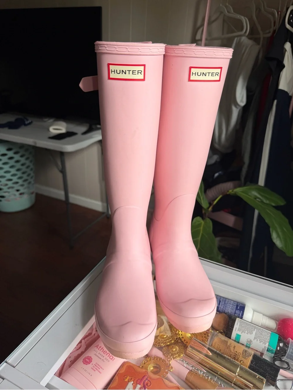 Hunter classic tall